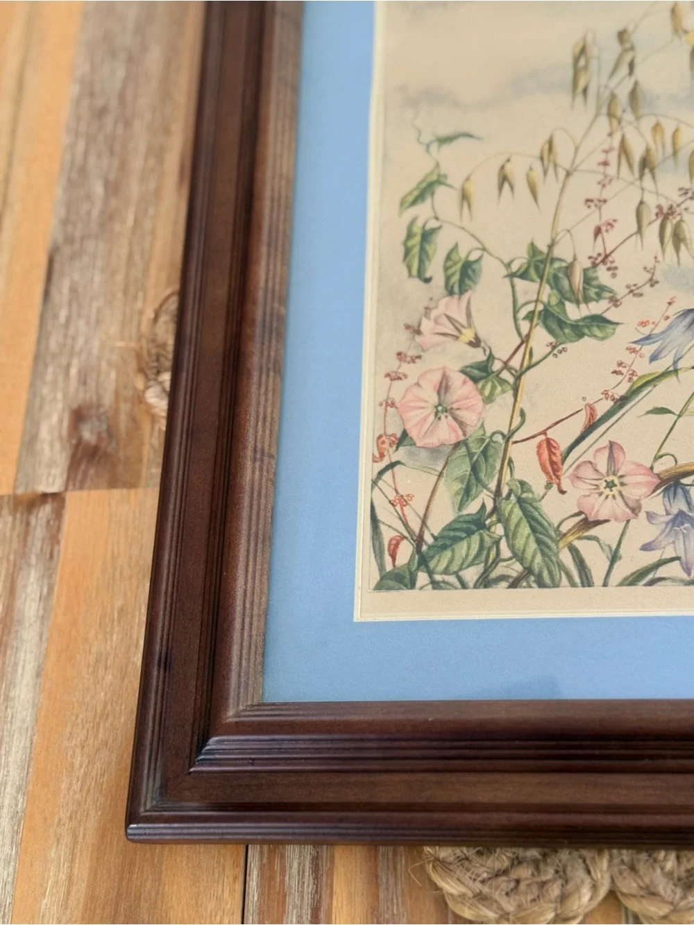 Framed Botanical Print with Blue Mat in Warm Wood Frame